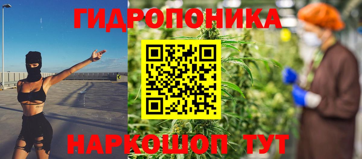Конопля LSD WEED Сокол